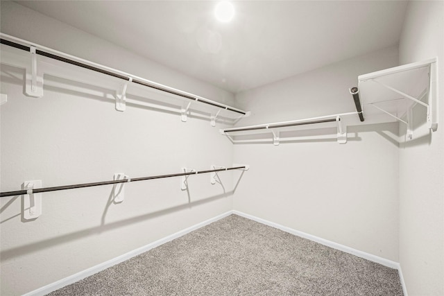 29618 Juntti Park Ct, Katy, TX 77494 - spacious closet featuring carpet floors