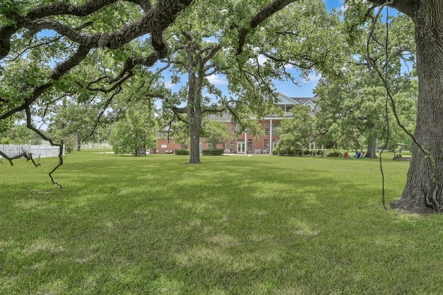 15203 Wildwood Cir, Magnolia, TX 77354 - view of green lawn