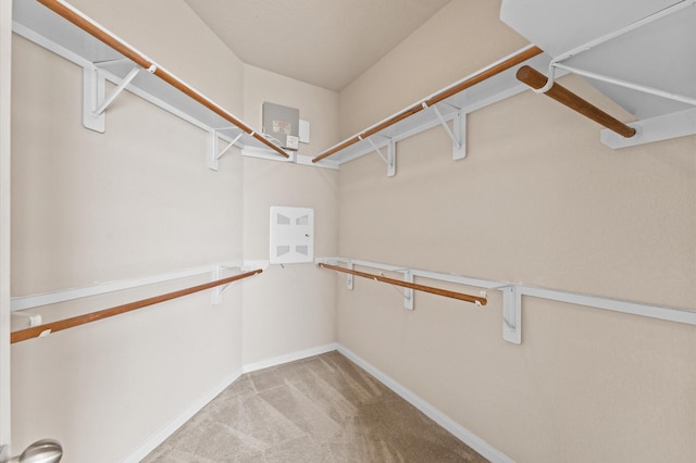 7303 Enchanted Rock Ln, Missouri City, TX 77459 - walk in closet featuring carpet