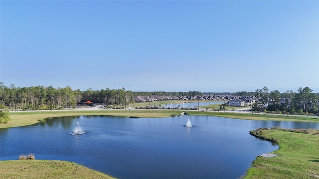 4325 Victoria Pine Dr, Spring, TX 77386 - water view