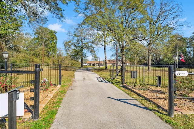 96 Fm 2550th Rd, Huntsville, TX 77320 - view of asphalt driveway featuring street lighting, a gate, and a gated entry