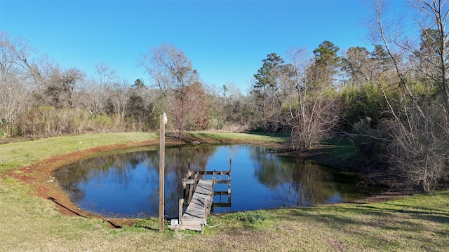 96 Fm 2550th Rd, Huntsville, TX 77320 - dock area with a water view and a yard