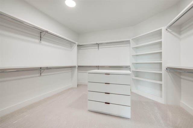 1209 W Bell St, Houston, TX 77019 - walk in closet with light colored carpet
