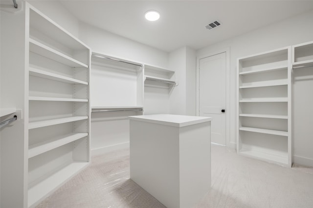 1209 W Bell St, Houston, TX 77019 - walk in closet featuring light colored carpet