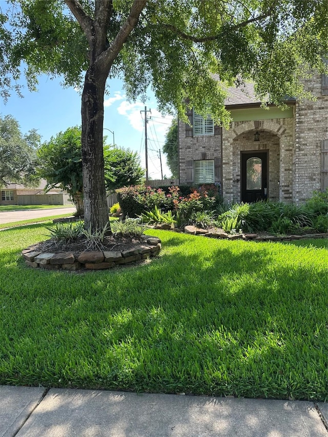 4326 Holly Terrace Ct, Pasadena, TX 77505 - view of green lawn