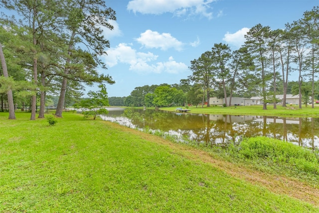 29090 W Lake Dr, Hempstead, TX 77445 - water view