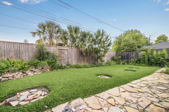 2740 Suffolk Dr, Houston, TX 77027 - view of yard