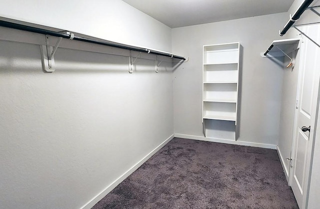 16342 Rockdale Landing Dr, Hockley, TX 77447 - spacious closet featuring dark colored carpet