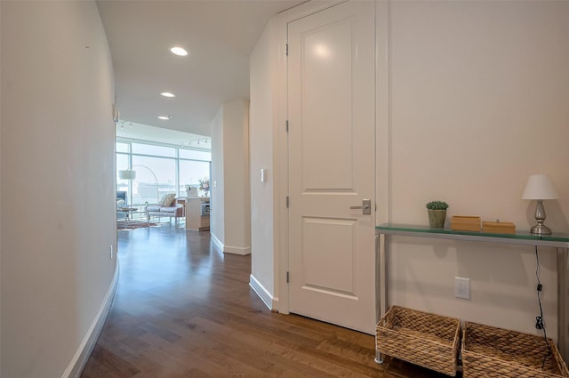 2207 Bancroft St Unit 604, Houston, TX 77027 - corridor featuring wood finished floors, recessed lighting, and baseboards
