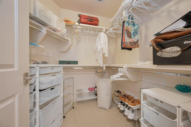 2207 Bancroft St Unit 604, Houston, TX 77027 - view of spacious closet