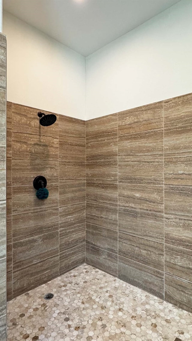 4818 Lake Village Dr, Fulshear, TX 77441 - full bath with a tile shower