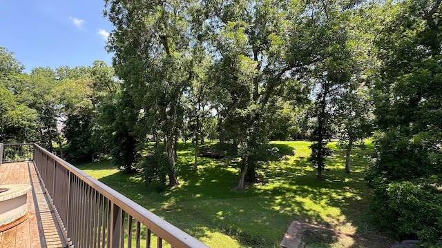 4818 Lake Village Dr, Fulshear, TX 77441 - view of green lawn