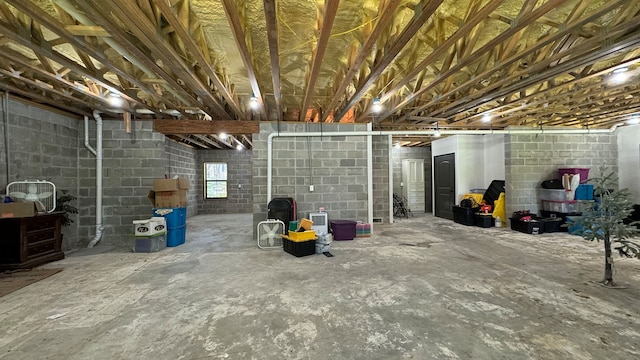 4818 Lake Village Dr, Fulshear, TX 77441 - basement featuring concrete block wall