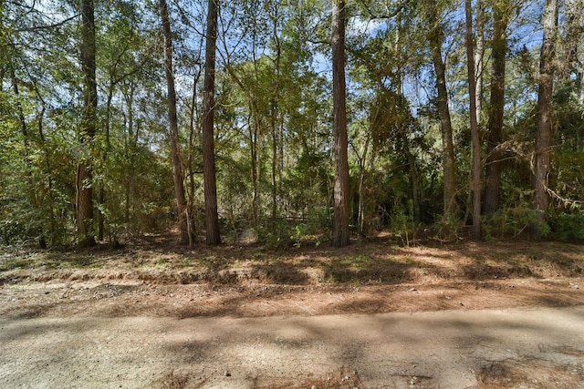 0 Bob Wahle Ln, Coldspring, TX 77331