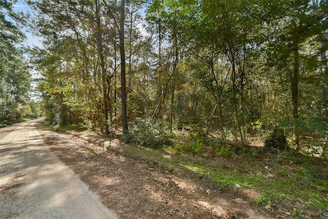 0 Bob Wahle Ln, Coldspring, TX 77331