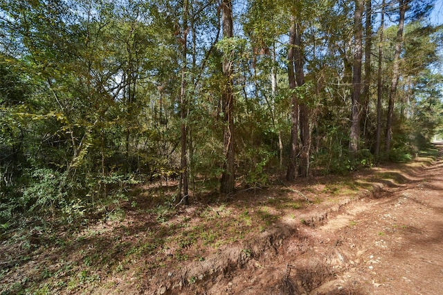 0 Bob Wahle Ln, Coldspring, TX 77331