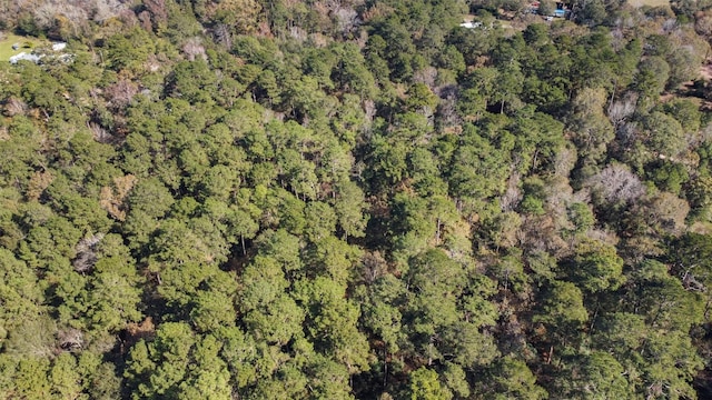 0 Bob Wahle Ln, Coldspring, TX 77331