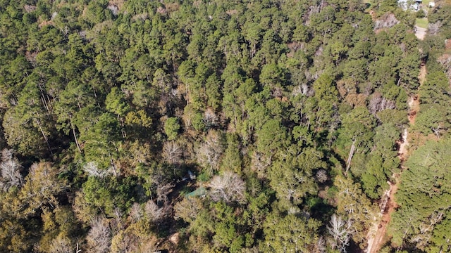 0 Bob Wahle Ln, Coldspring, TX 77331