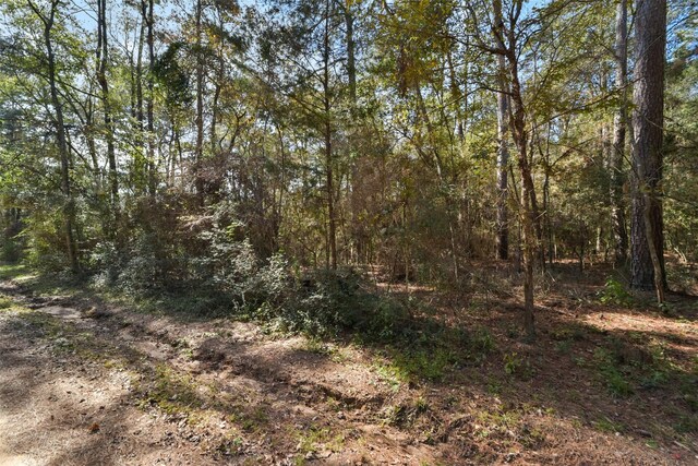 0 Fm 945, Coldspring, TX 77331