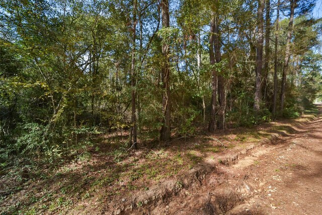0 Fm 945, Coldspring, TX 77331