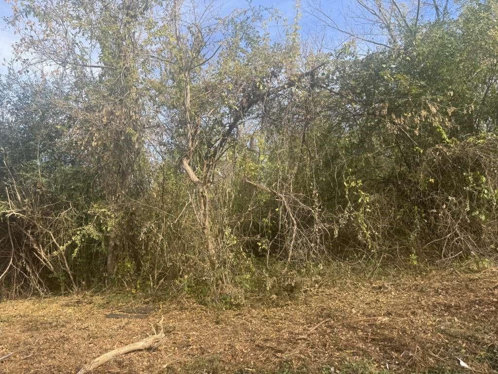 0 Walton St, Palestine, TX 75801