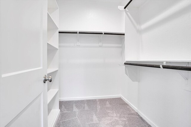 477 Long Leaf Pine Dr, Montgomery, TX 77316 - walk in closet with carpet flooring