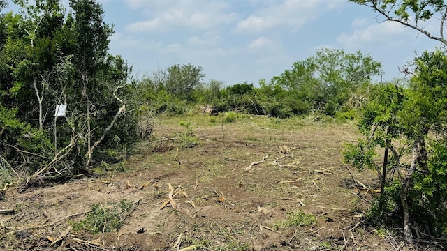 TBDLOT16.47AC Fm 888, Beeville, TX 78102