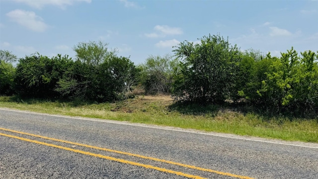 TBDLOT16.47AC Fm 888, Beeville, TX 78102