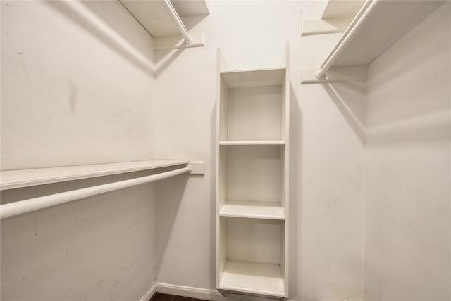 7838 Vickijohn Dr, Houston, TX 77071 - view of walk in closet