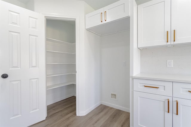 21511 Pepperberry Trl, Spring, TX 77388 - view of storage area