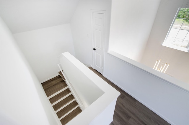 21511 Pepperberry Trl, Spring, TX 77388 - staircase with wood finished floors