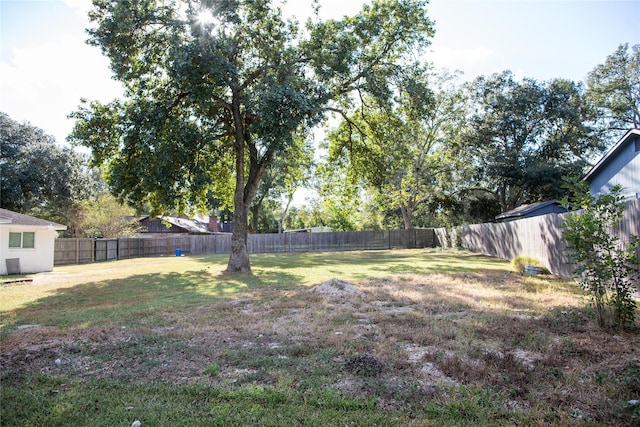 14902 Bernard Timbers Dr, East Bernard, TX 77435 - view of yard