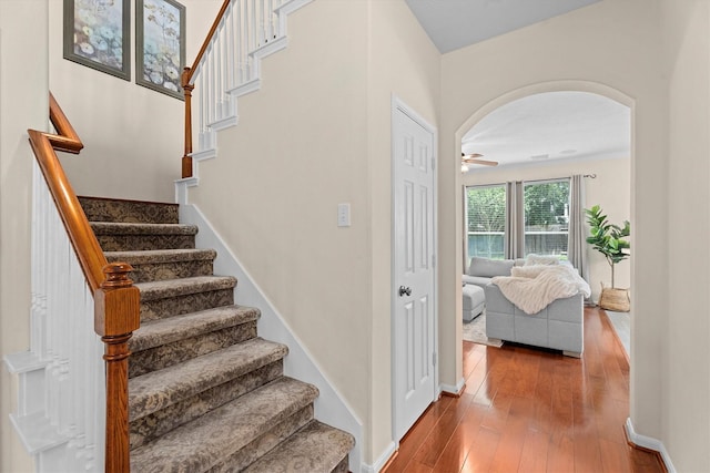 16810 Tranquility Park Dr, Cypress, TX 77429 - staircase featuring hardwood / wood-style floors, ceiling fan, arched walkways, and baseboards