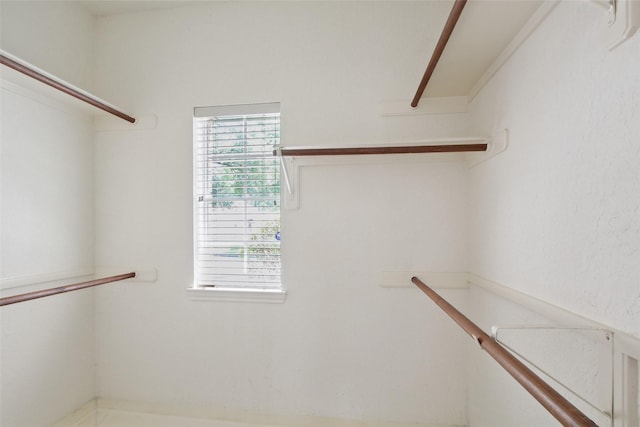 3423 Scenic Elm St, Houston, TX 77059 - view of walk in closet
