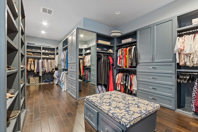28842 Lakeside Grn, Magnolia, TX 77355 - walk in closet with dark wood-type flooring