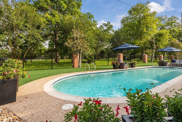 51 Dartmoor Ct, Sugar Land, TX 77479 - view of swimming pool