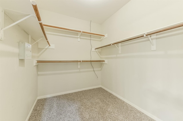 12950 Quail Park Dr, Cypress, TX 77429 - walk in closet with carpet floors
