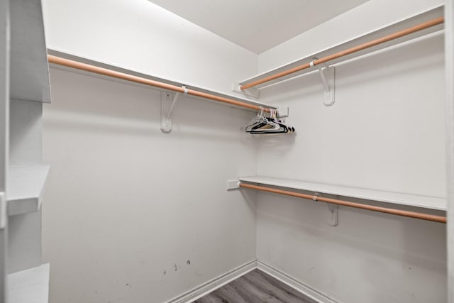 12923 Hunterfield Dr, Cypress, TX 77429 - spacious closet featuring wood finished floors
