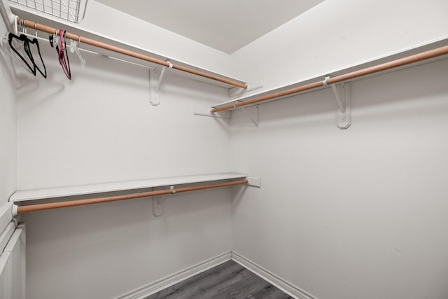12923 Hunterfield Dr, Cypress, TX 77429 - walk in closet with dark wood-type flooring