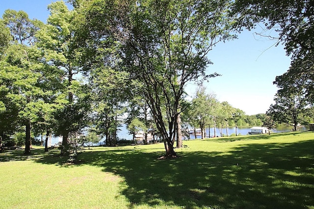606 County Road 1947, Yantis, TX 75497 - view of grassy yard with a water view