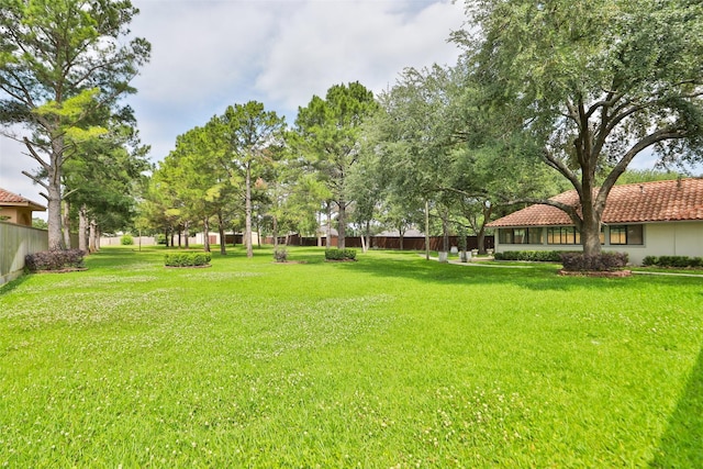 4603 Joyce Blvd, Houston, TX 77084 - view of yard