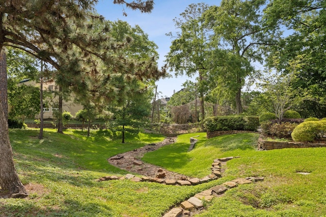 view of grassy yard