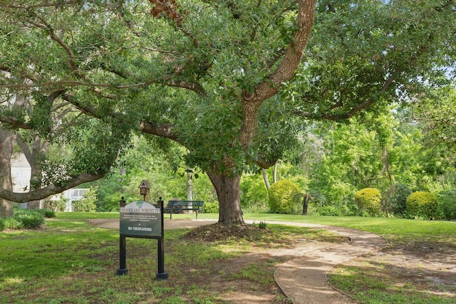 view of home's community featuring a yard