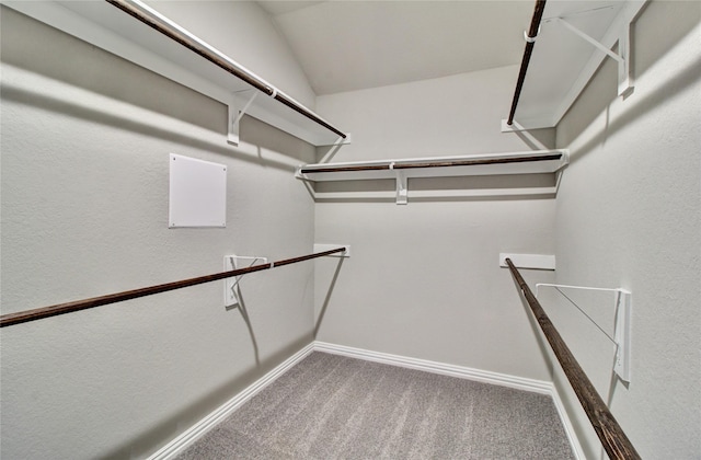 4426 Azalea Blossom Rd, Pinehurst, TX 77362 - spacious closet with carpet floors