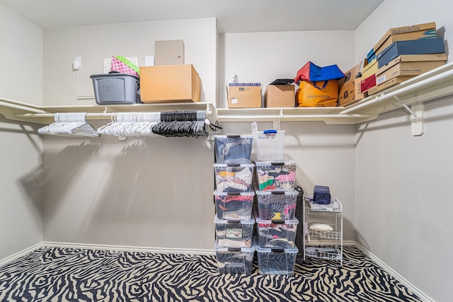 11018 Jadestone Creek Ln, Cypress, TX 77433 - spacious closet with carpet flooring