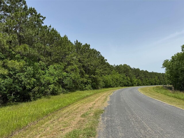 TBDABC Dream Catcher Drive, Wallisville, TX 77597 - photo 3