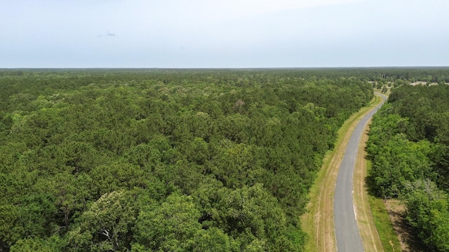 TBDABC Dream Catcher Drive, Wallisville, TX 77597 - photo 2