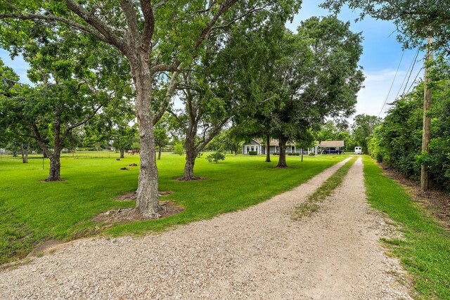 927 County Road 423, Alvin, TX 77511 - photo 5