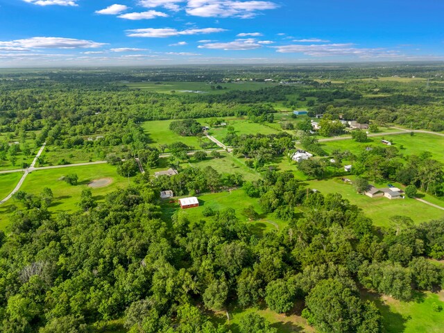 927 County Road 423, Alvin, TX 77511 - photo 40