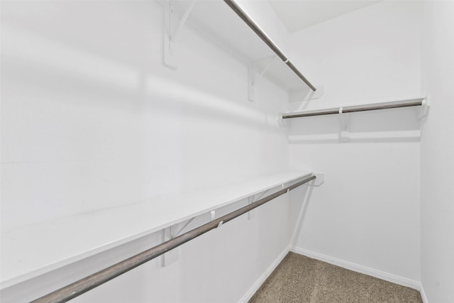 3907 Lynnfield St, Houston, TX 77016 - walk in closet featuring light colored carpet